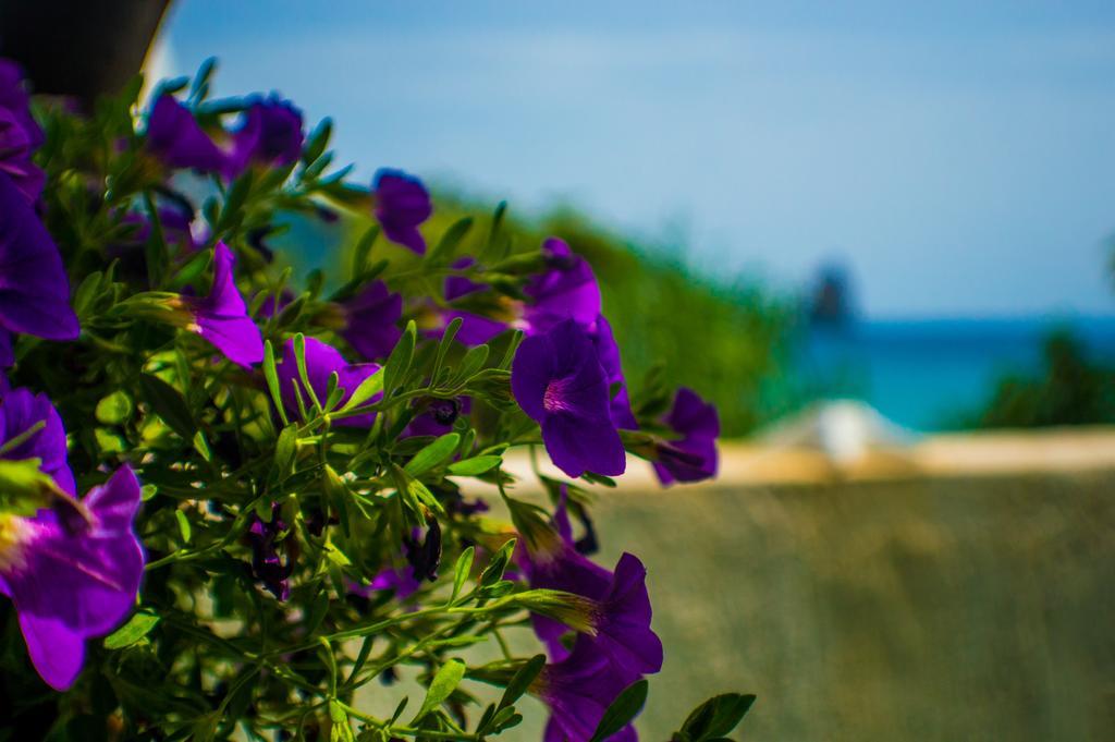 Agathi Beach House Ájos Górdios Eksteriør bilde